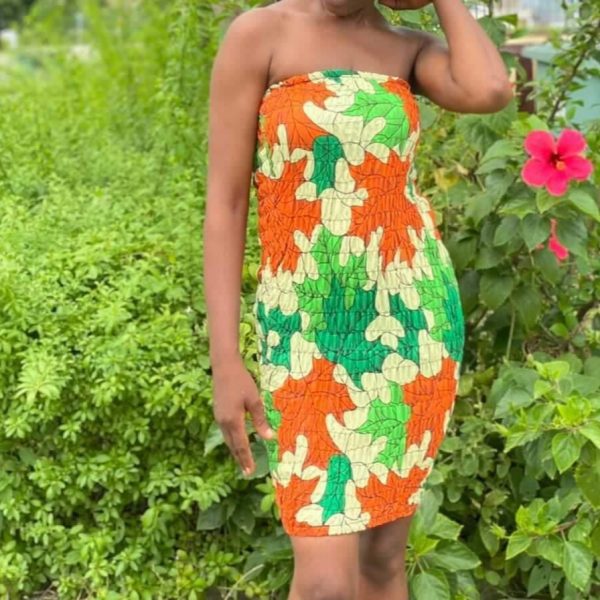 Doris Multi-Color Tube Dress